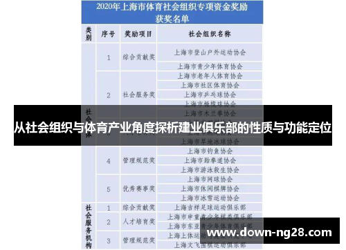 从社会组织与体育产业角度探析建业俱乐部的性质与功能定位 从社会组织与体育产业角度探析建业俱乐部的性质与功能定位