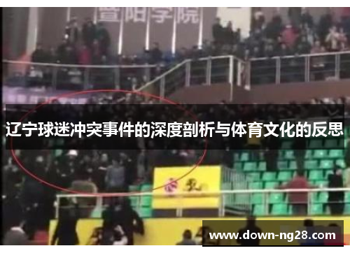 辽宁球迷冲突事件的深度剖析与体育文化的反思 辽宁球迷冲突事件的深度剖析与体育文化的反思