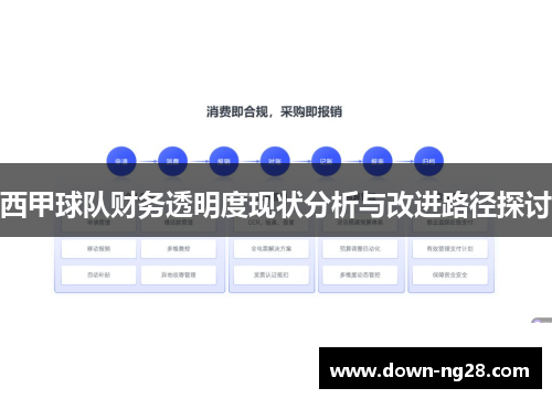 西甲球队财务透明度现状分析与改进路径探讨 西甲球队财务透明度现状分析与改进路径探讨