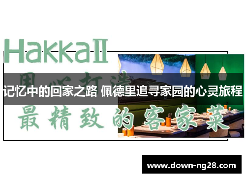 记忆中的回家之路 佩德里追寻家园的心灵旅程